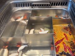-巴奴毛肚火锅(商城路店)