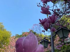 -乌山风景区