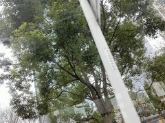 -东亚银行(上海分行)