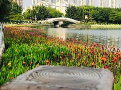 -南宁南湖公园