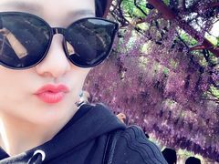 -威海渔村(静安旗舰店)