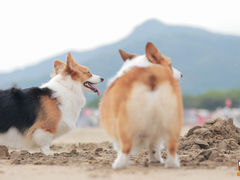 -东海半边山旅游度假区