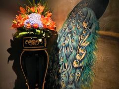 -弦月窗LUNETTE BY AMANDA(复兴路店)