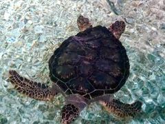 -福州罗源湾海洋世界旅游区