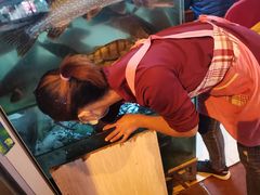 -煲来饱去冷水鱼