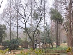 -杭州植物园