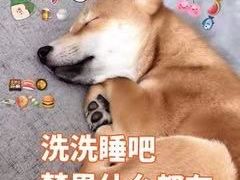 -新疆民族团结羊肉串(锦江区店)