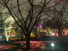 -龙美术馆西岸馆-停车场