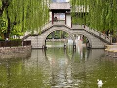 -团结湖公园