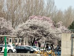 -吉林大学(南岭校区)