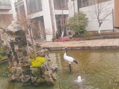 -广富林宰相府酒店·水云间