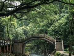 -广州市石门国家森林公园