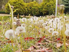 -武汉园博园(武汉自然博物馆)