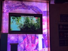 -星歌迷PARTY KTV(锦艺城店)