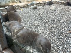 -昆明动物园