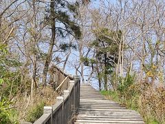 -傅家庄公园