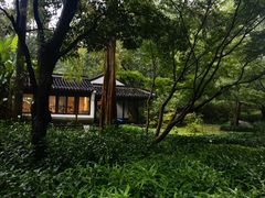 -杭州植物园