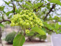 -白塘生态植物园