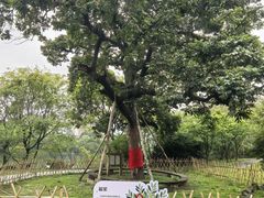 -福建鲤鱼洲酒店