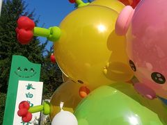 -长白岛森林公园