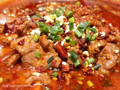 -阆辣荟餐饮(老味道8年·古城店)