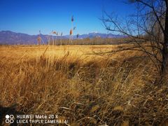 -野鸭湖国家湿地公园