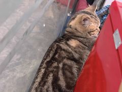 -无趣桌游狼人杀店