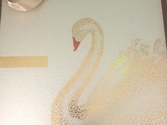 -BLACKSWAN黑天鹅(环球店)