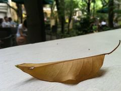 IMG_1467-星巴克臻选(广州沙面店)