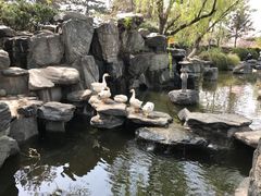 -西安青龙寺遗址景区