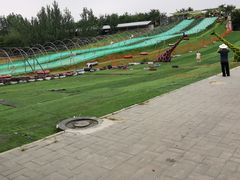 -北京鹿世界主题园