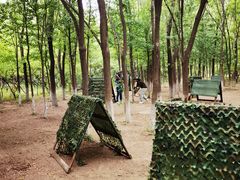 -亲兄弟真人CS团建拓展基地