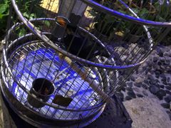 -太平洋咖啡(市府恒隆二店)