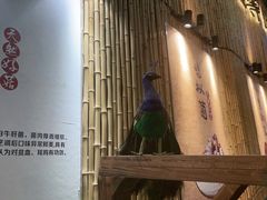 -大理董·董家小厨野生菌火锅(古城旗舰店)