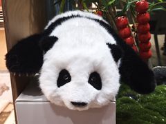 -三联韬奋书店(宽窄巷子店)