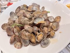 香辣红岛小蛤蜊-双合园·海鲜水饺青岛菜(万佳广场店)