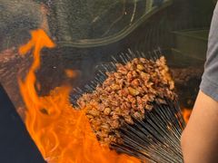 -马健烤肉(东丽大厦店)