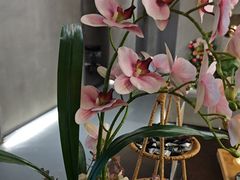 -施奈儿.洗头頭療.按摩SPA.采耳(上梅林店)