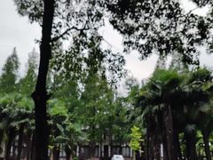 -太阳岛度假酒店