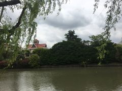 -嘉定紫藤园