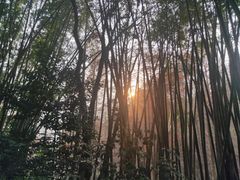 -广州市白云山风景名胜区