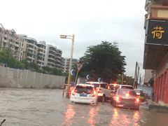 -美的鹭湖探索王国