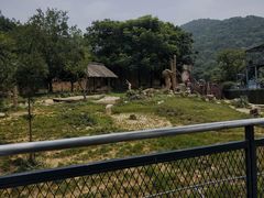 -无锡动物园·太湖欢乐园