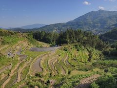 -紫鹊界梯田景区