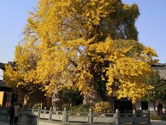 -圆通寺