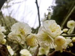 -幸福蓝海影城(上海闵行日月光中心杜比全景声店)