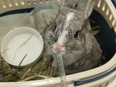 -爱诺耐芙动物医院(万博店)