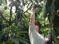 -小黑石海滨浴场·停车场