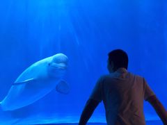 -多彩贵州城极地海洋世界