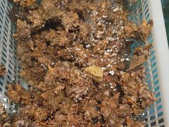 -后田海鲜餐厅(南澳香湖湾店)